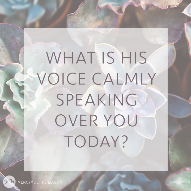 His voice | MercyMultipliedBlog.com