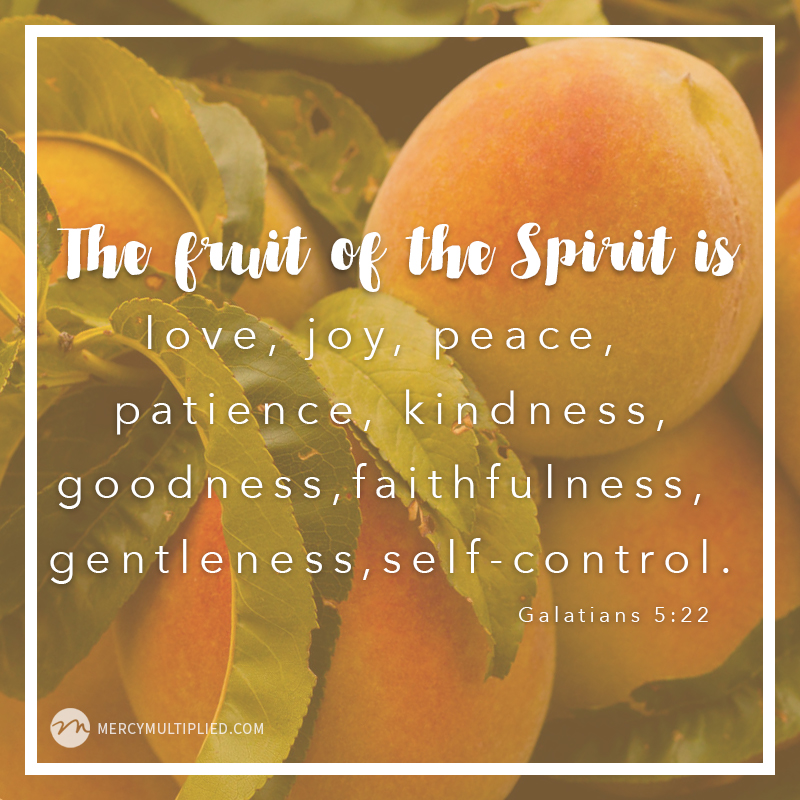 Are You Bearing Good Fruit? | Mercy Multiplied