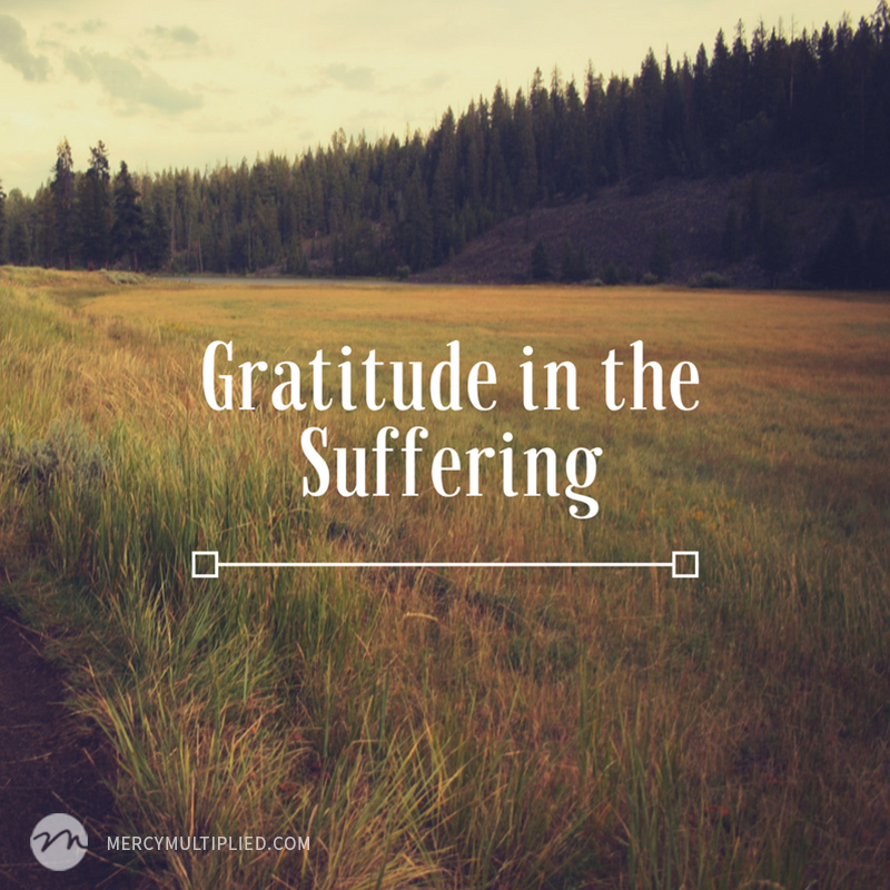 Gratitude in the Suffering