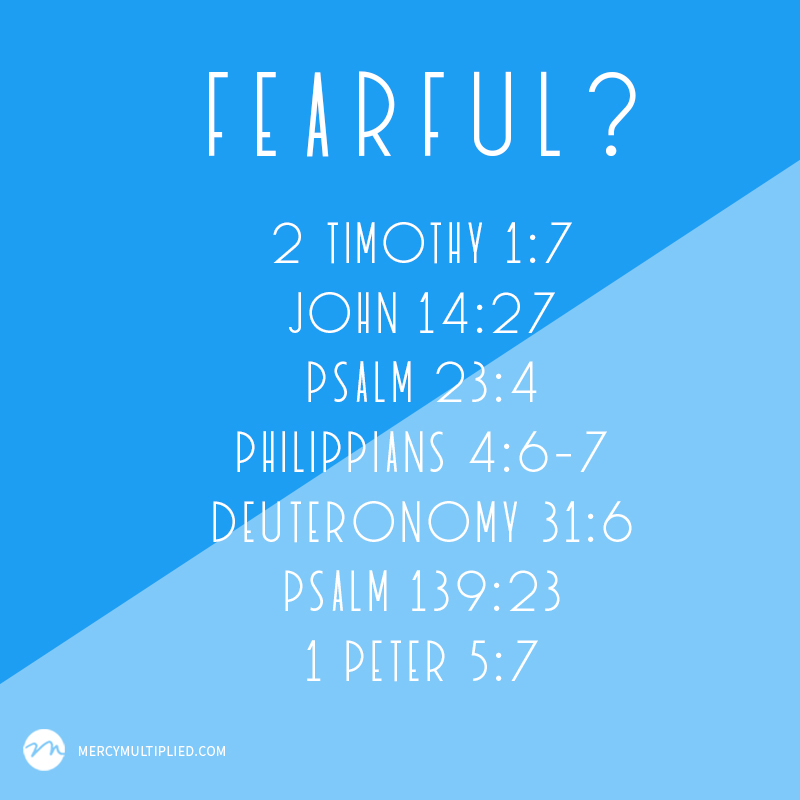 Seven Scriptures To Combat Fear | mercymultipliedblog.com | Choosing Freedom