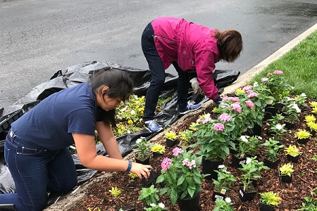 Volunteers Planting Flowers