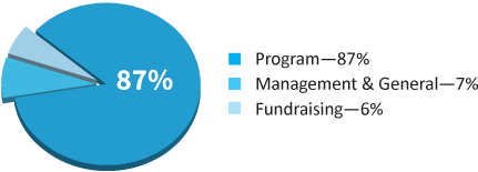Financial-Graphic_Expenses_2019